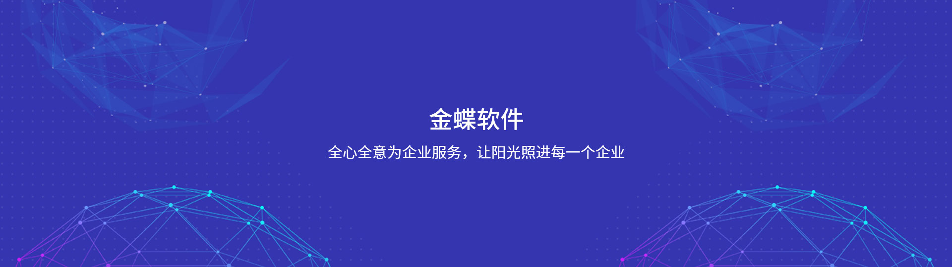 金蝶軟件