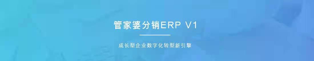 管家婆分銷ERP V1